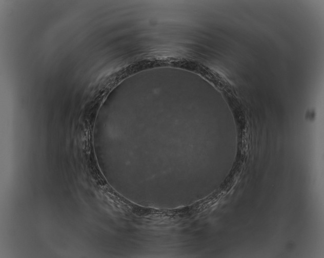 X0000089920917200707061016
