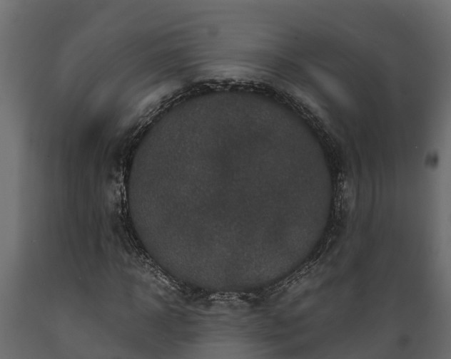 X0000089920918200707061016