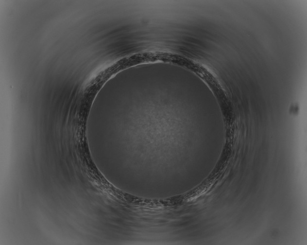 X0000089920919200707061016