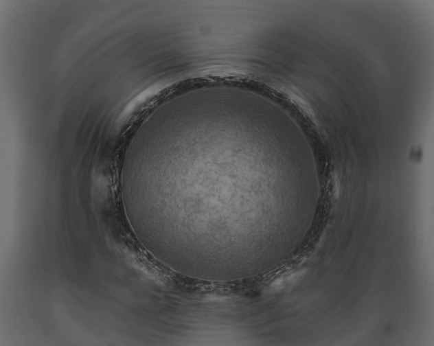 X0000089920920200707061016