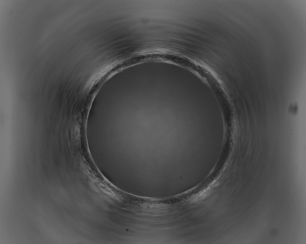 X0000089920921200707061016