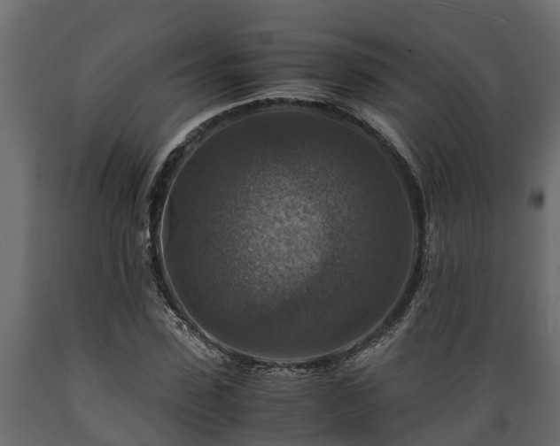X0000089920923200707061016