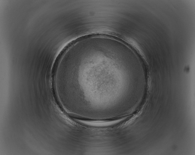 X0000089920924200707061016