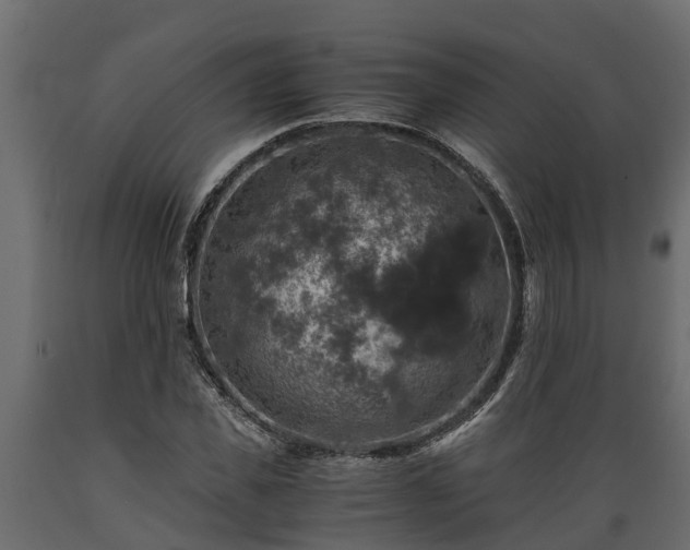 X0000089920925200707061016