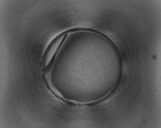 X0000089920926200707061016