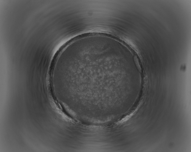 X0000089920928200707061016
