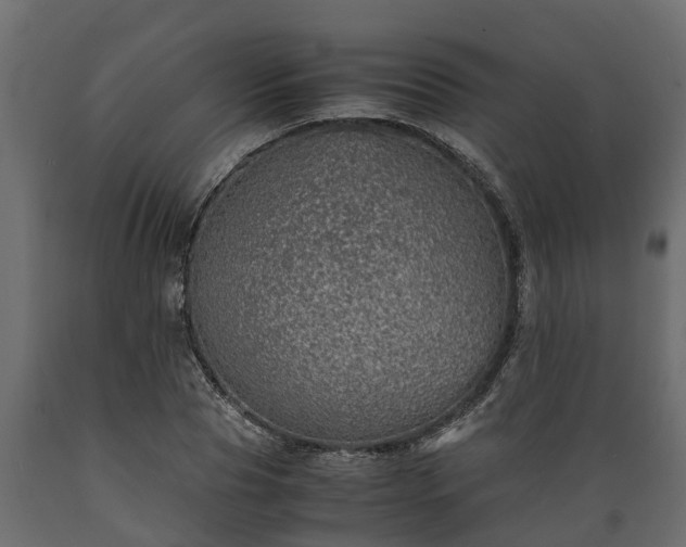 X0000089920929200707061016