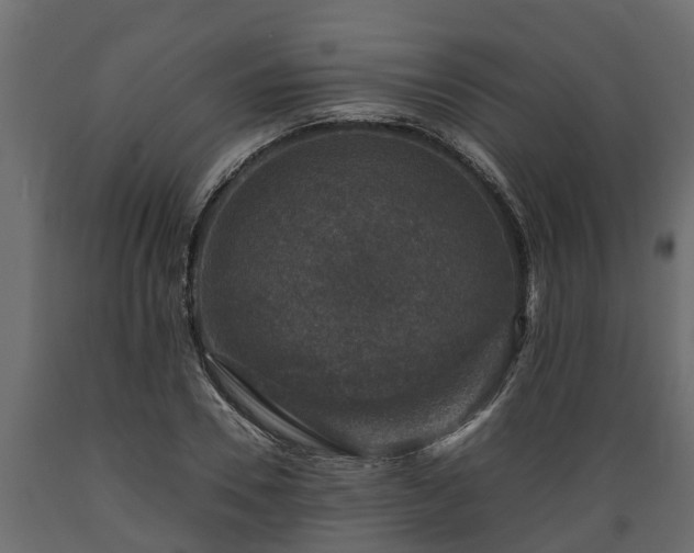 X0000089920930200707061016