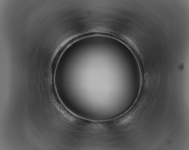X0000089920931200707061016