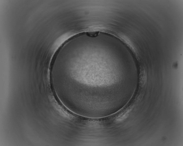 X0000089920932200707061016