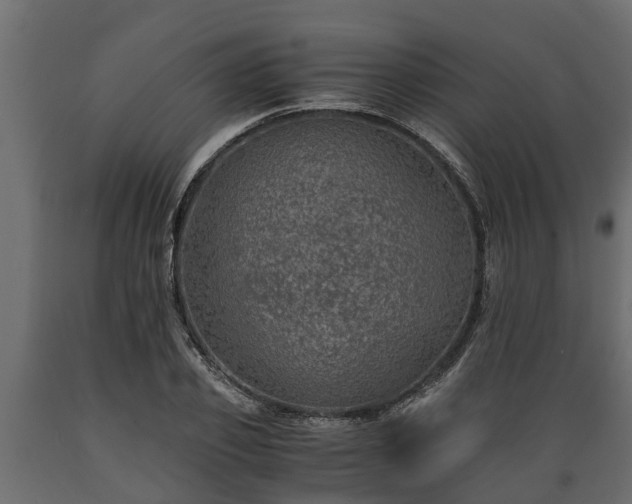 X0000089920933200707061016