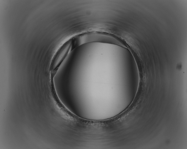 X0000089920934200707061016