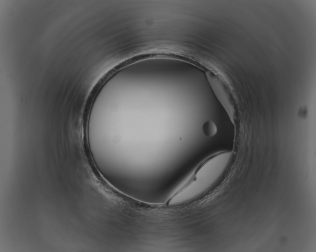 X0000089920936200707061016