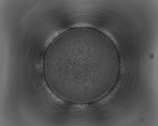 X0000089920937200707061016