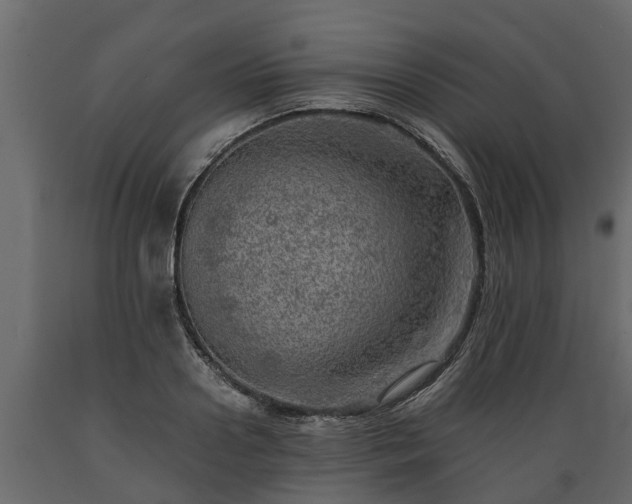 X0000089920938200707061016