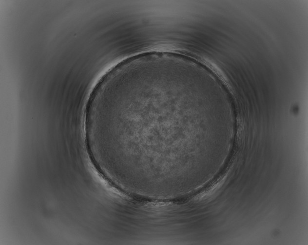 X0000089920939200707061016