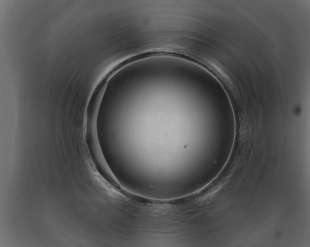 X0000089920940200707061016
