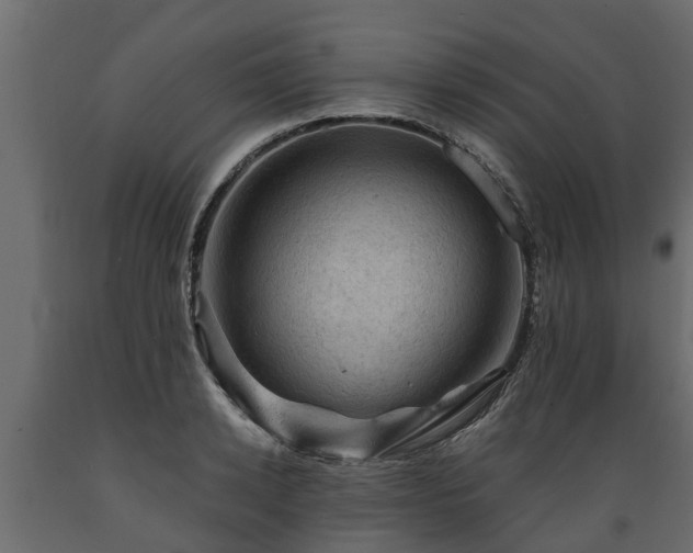 X0000089920942200707061016