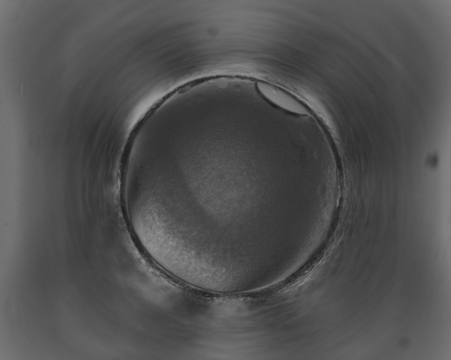 X0000089920944200707061016