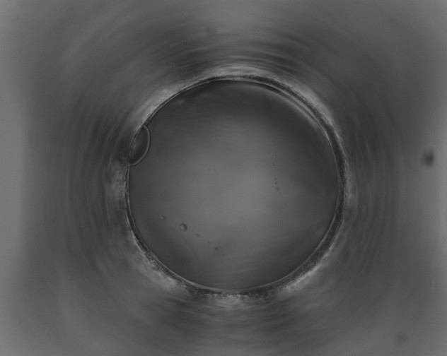 X0000089920945200707061016