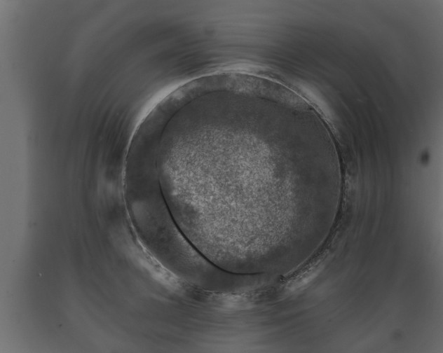 X0000089920948200707061016