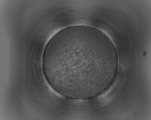X0000089920949200707061016