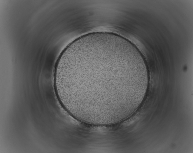 X0000089920950200707061016