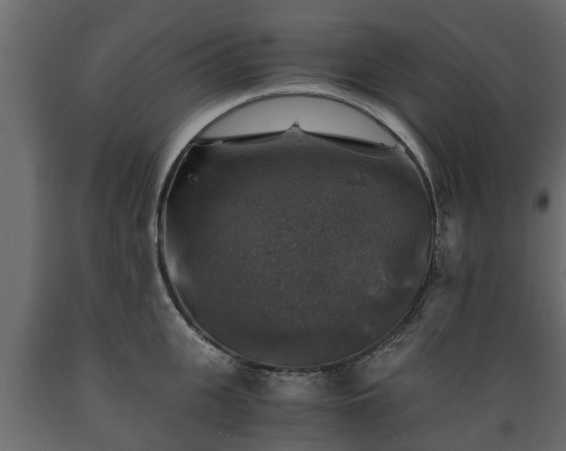 X0000089920951200707061016
