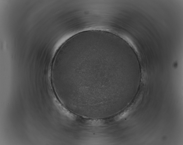 X0000089920952200707061016