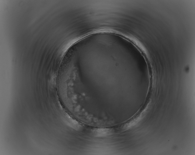 X0000089920953200707061016