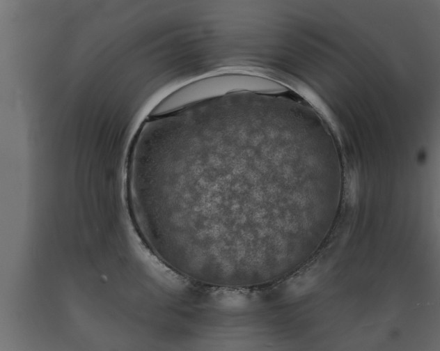 X0000089920955200707061016