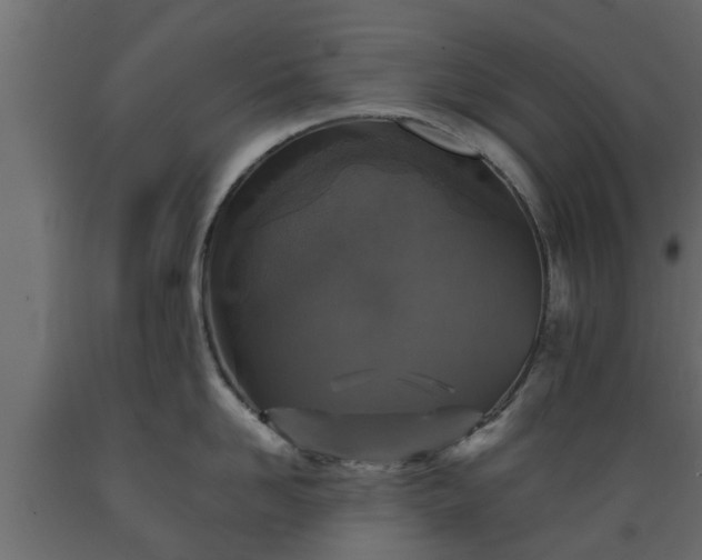 X0000089920958200707061016