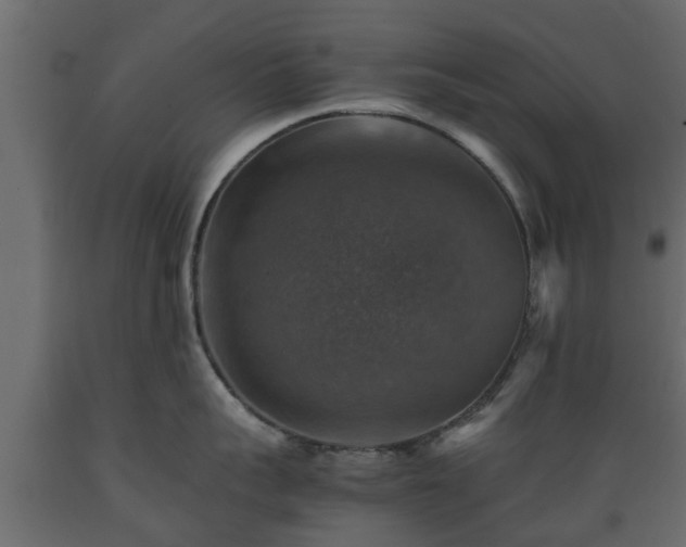 X0000089920959200707061016