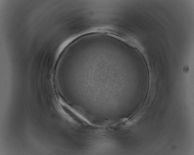 X0000089920960200707061016