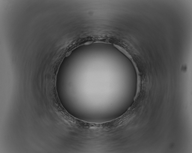 X0000089920961200707061016