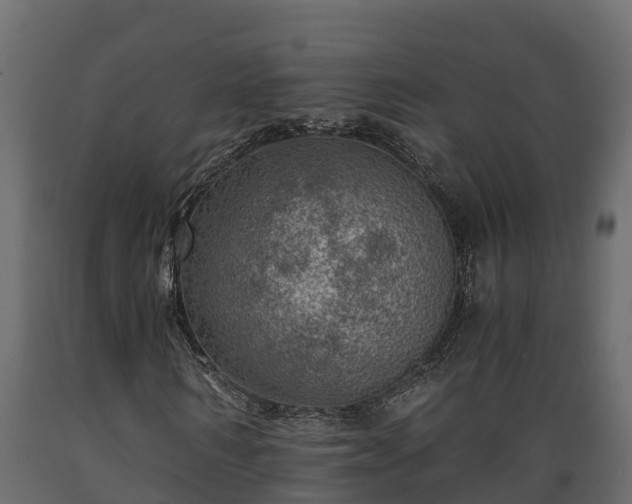 X0000089920962200707061016