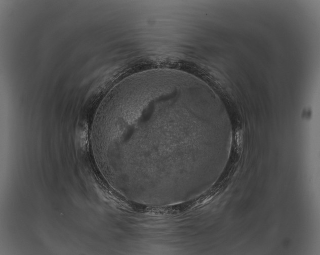 X0000089920963200707061016