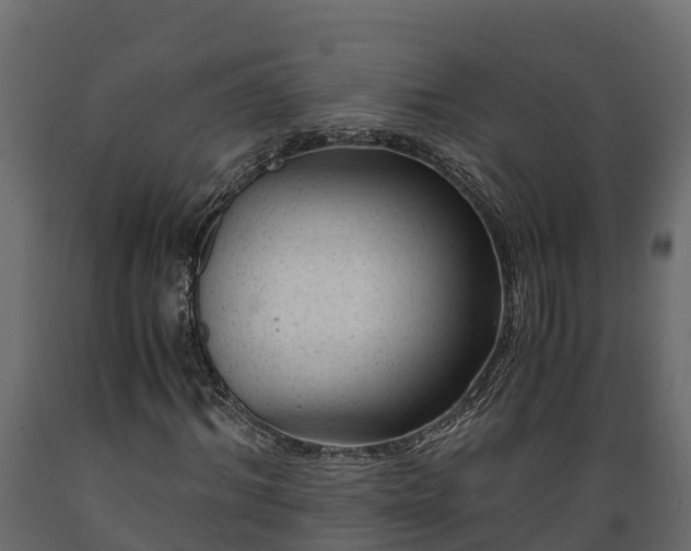 X0000089920964200707061016
