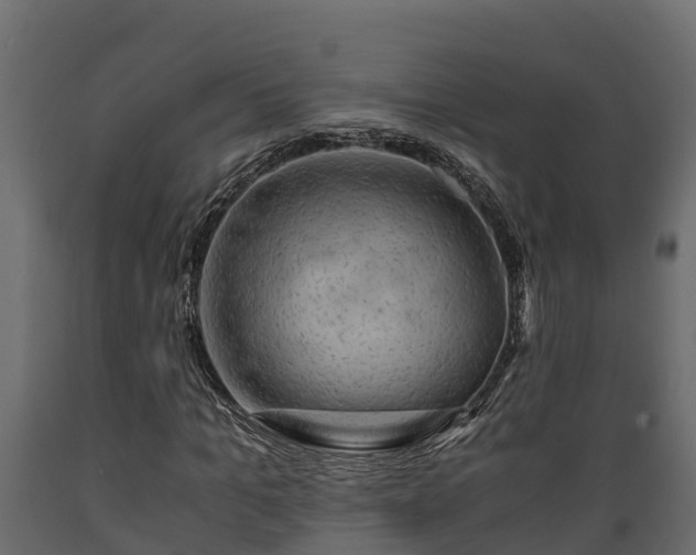 X0000089920965200707061016