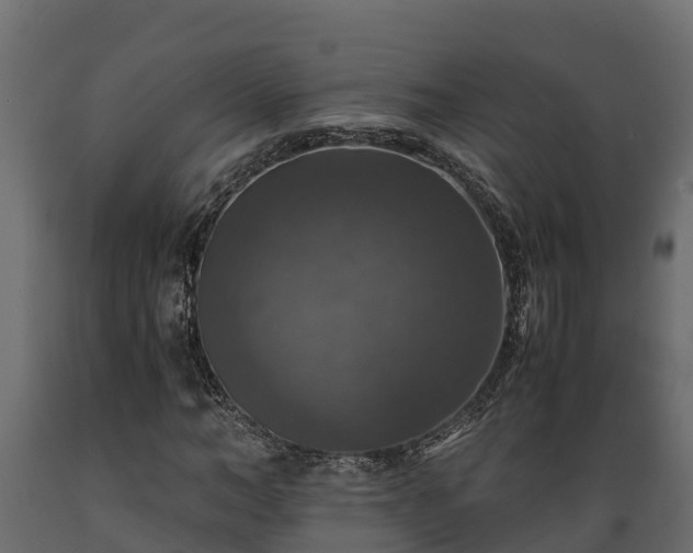 X0000089920966200707061016