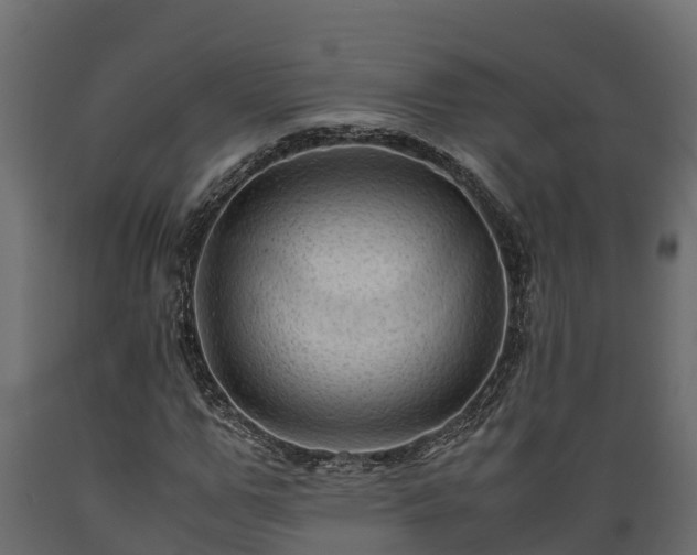 X0000089920967200707061016