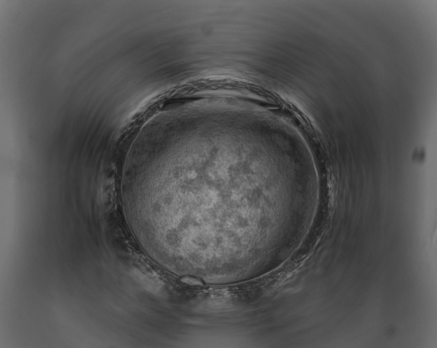 X0000089920968200707061016