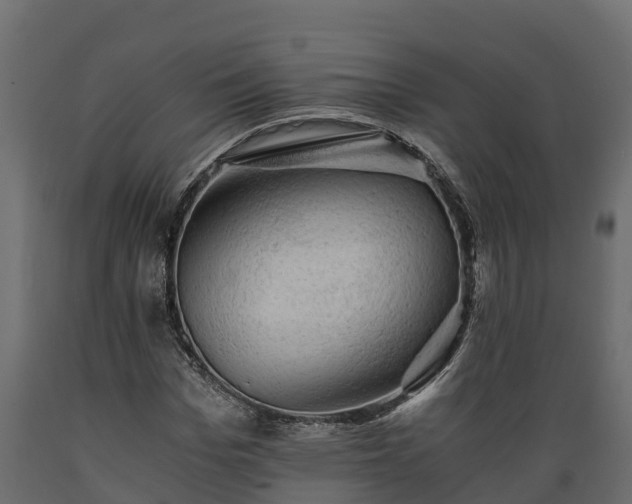 X0000089920969200707061016