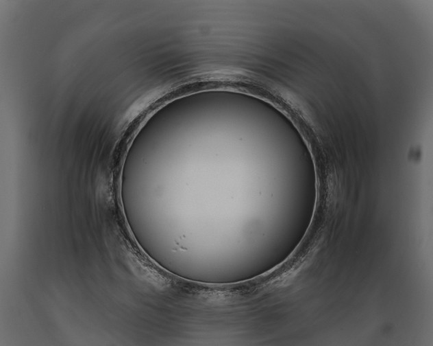 X0000089920970200707061016