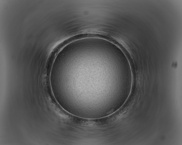 X0000089920971200707061016