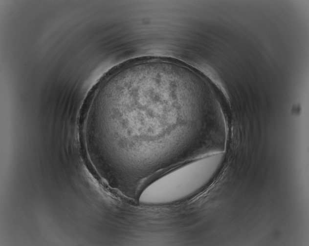 X0000089920972200707061016