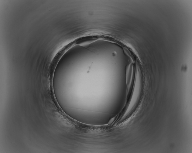 X0000089920973200707061016