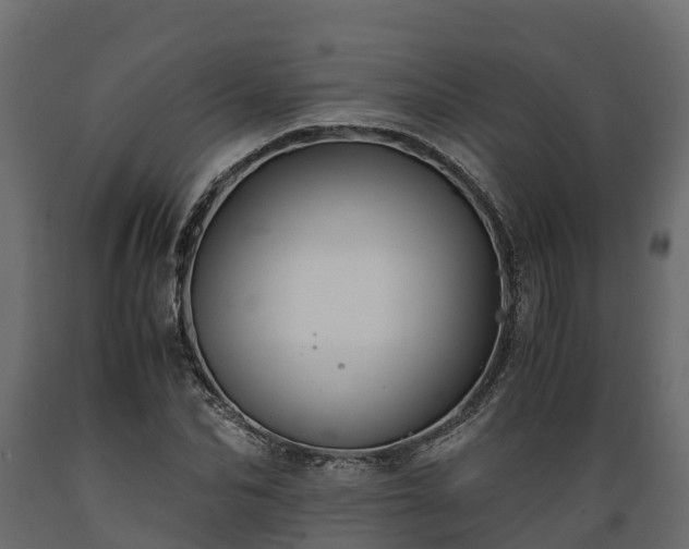 X0000089920974200707061016