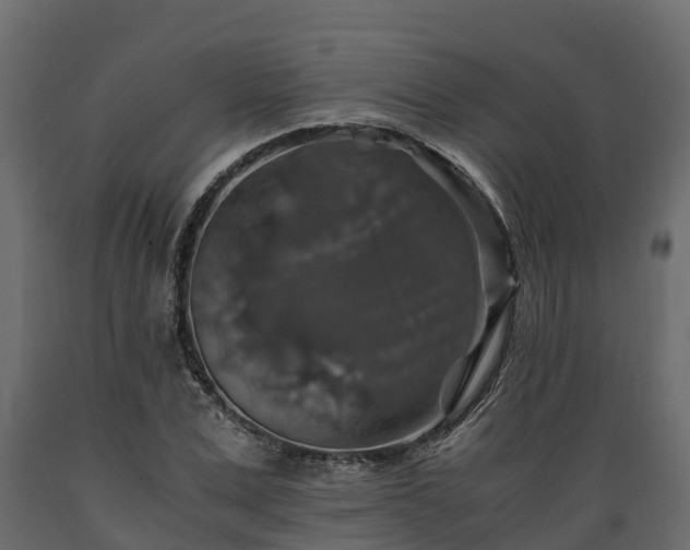 X0000089920975200707061016