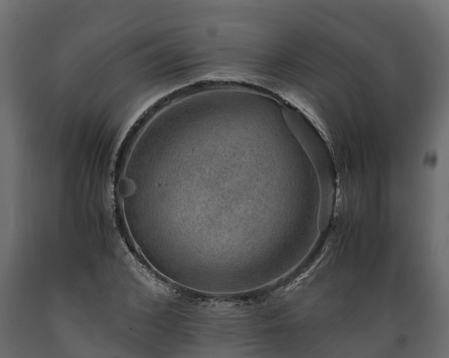 X0000089920976200707061016